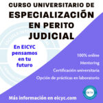 Especialización Perito Judicial: Campos de Expertise Disponibles