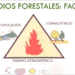 Factores determinantes en incendios: descubre enfoques profesionales